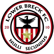 下布雷克队徽